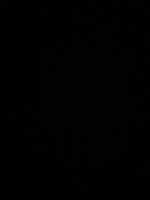 ‏بيتبول‏3