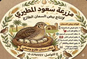 بيض سمان وبيض بلدي من المزرعة إلى بيتك