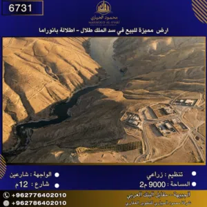 إعلان رقم (6731) أرض زراعية للبيع في سد الملك طلال – إطلالة بانوراما