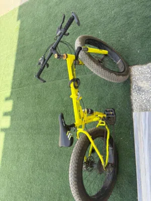Big Bicycle