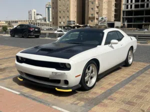 Used Dodge Challenger in Hawally