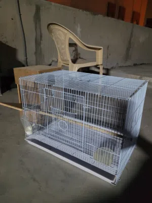 for male and female Big cage for sale with everything