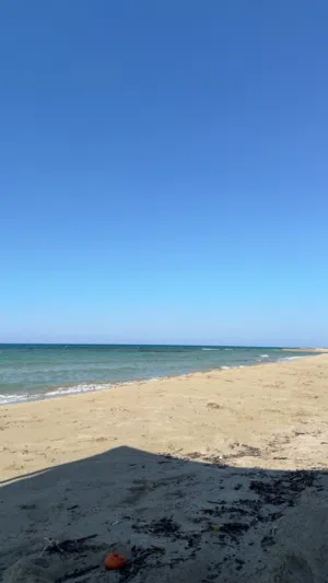 عقار تجاري للبيع جامع الصقع