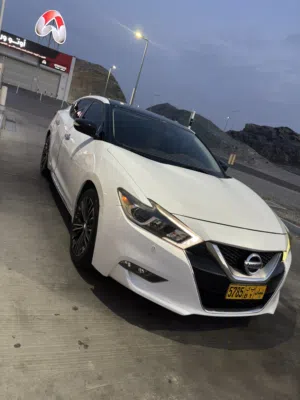Used Nissan Maxima in Muscat