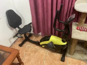 Training Bicycle
