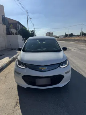 Bolt 2019 3جيد واحد مضروب