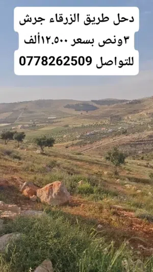 Farm Land for Sale in Jerash Other