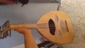 بيع عود عراقي