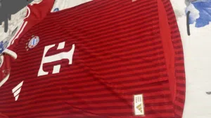 Bayern T shirt 26/27