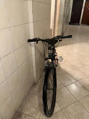 سيكل 25 اخر سعر