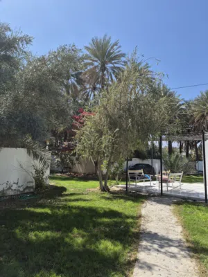 Farm Land for Sale in Al Dakhiliya Sumail