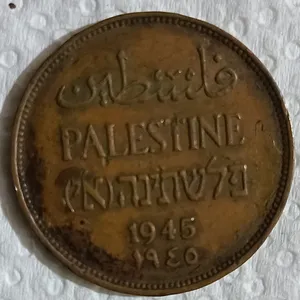 Collectibles1