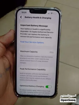 iPhone 13pro