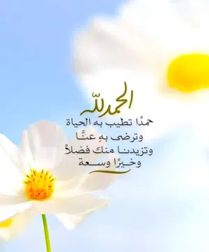 حمود الحبسي 