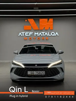 Byd qin L dmi