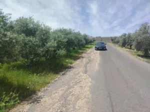 دنم و ربع بطنا سهل مثل الكف ع شارعين بسعر مغري