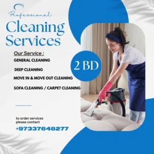 cleaning services