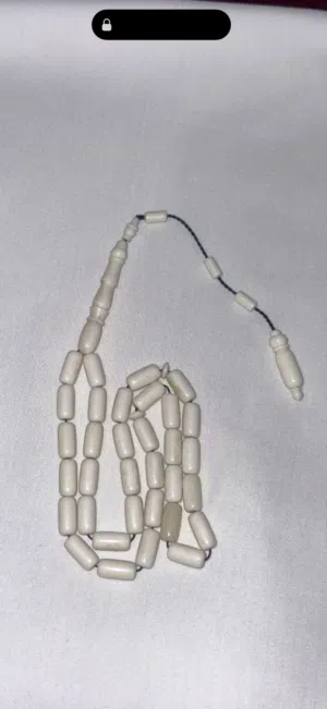 مسباح عظم الجمل