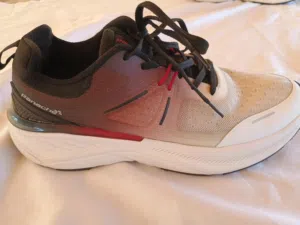 panache shoe original