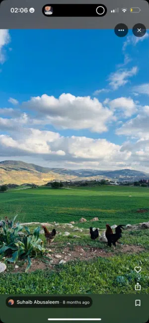 Farm Land for Sale in Jerash Al-Kittah