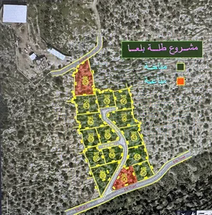 Mixed Use Land for Sale in Tulkarm Bal'a
