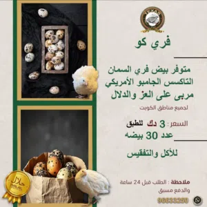 متوفر لحم فري تاكسس حجم وبيض