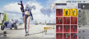 Pubg Accounts and Characters for Sale in Mafraq