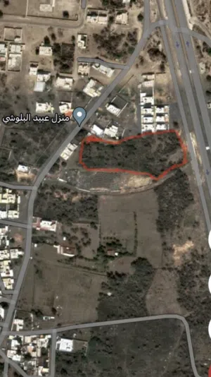 Farm Land for Sale in Al Batinah Shinas