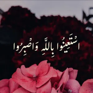mr mahmoud 