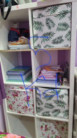 shelf with its cabinet