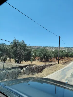 Farm Land for Sale in Zarqa Birayn