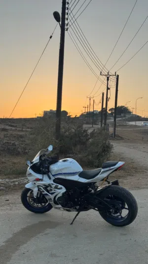 Suzuki . GSX-R1000 . 20181
