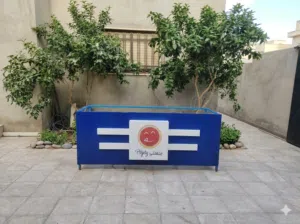 فترينة بيتزا