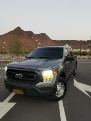 للبيع فقط فورد F150