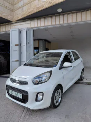 New Kia Picanto in Hebron