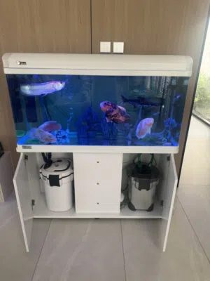Fish tank with  the fish’s inside