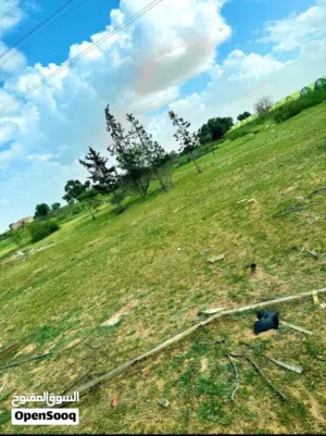 ارض في انجيلة الزراعية