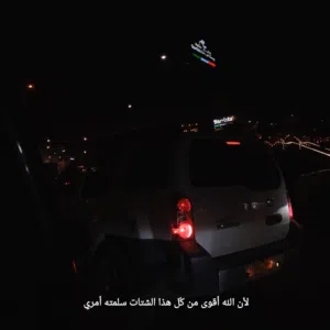 أحمد سالم 