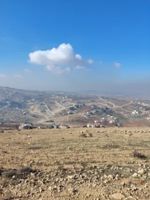 Farm Land for Sale in Zarqa Al-Kamsha
