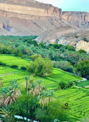 الحمدلله على كل حال 