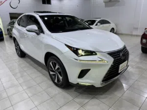 2019 LEXUS NX300