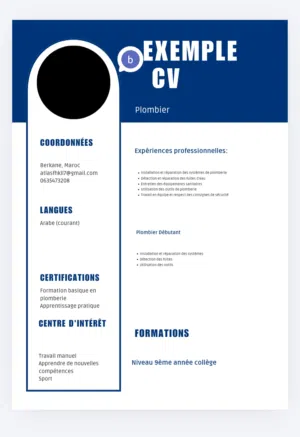 إنشاء CV احترافي + Lettre de motivation بثمن مناسب