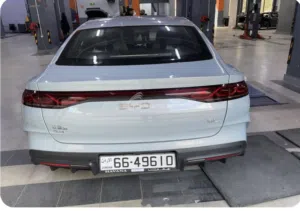 بي واي دي كين L 2024