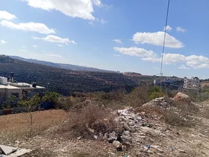 Mixed Use . 4 donum . Landlord3