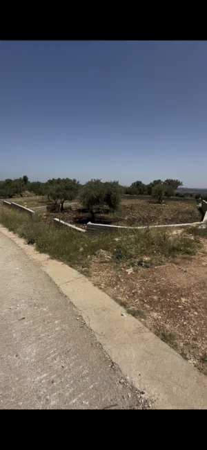 Residential Land for Sale in Jenin Meithalun