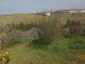 Farm Land for Sale in Irbid Huwwarah