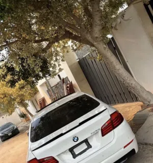 عبدو عبدو 