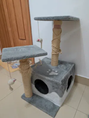 Cat house + scratcher