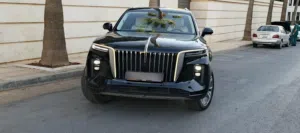 Used Hongqi E-HS9 in Amman