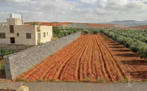 أرض تربة حمراء مستوية لا يوجد بها أي انحدار في منطقة العال والروضة طريق مادبا  الغربي